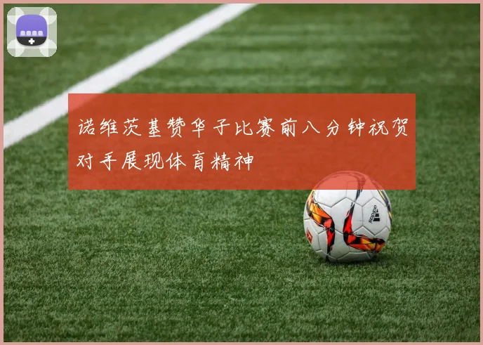 诺维茨基赞华子比赛前八分钟祝贺对手展现体育精神